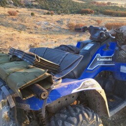 CargoVise
